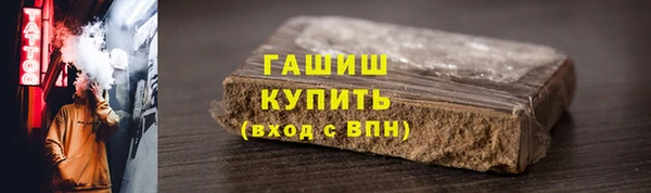 индика Горняк