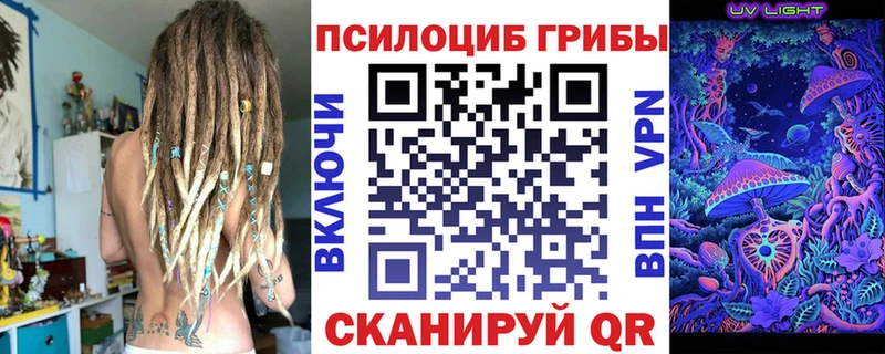 дарк нет Telegram  ОМГ ОМГ зеркало  Бежецк  Галлюциногенные грибы MAGIC MUSHROOMS 